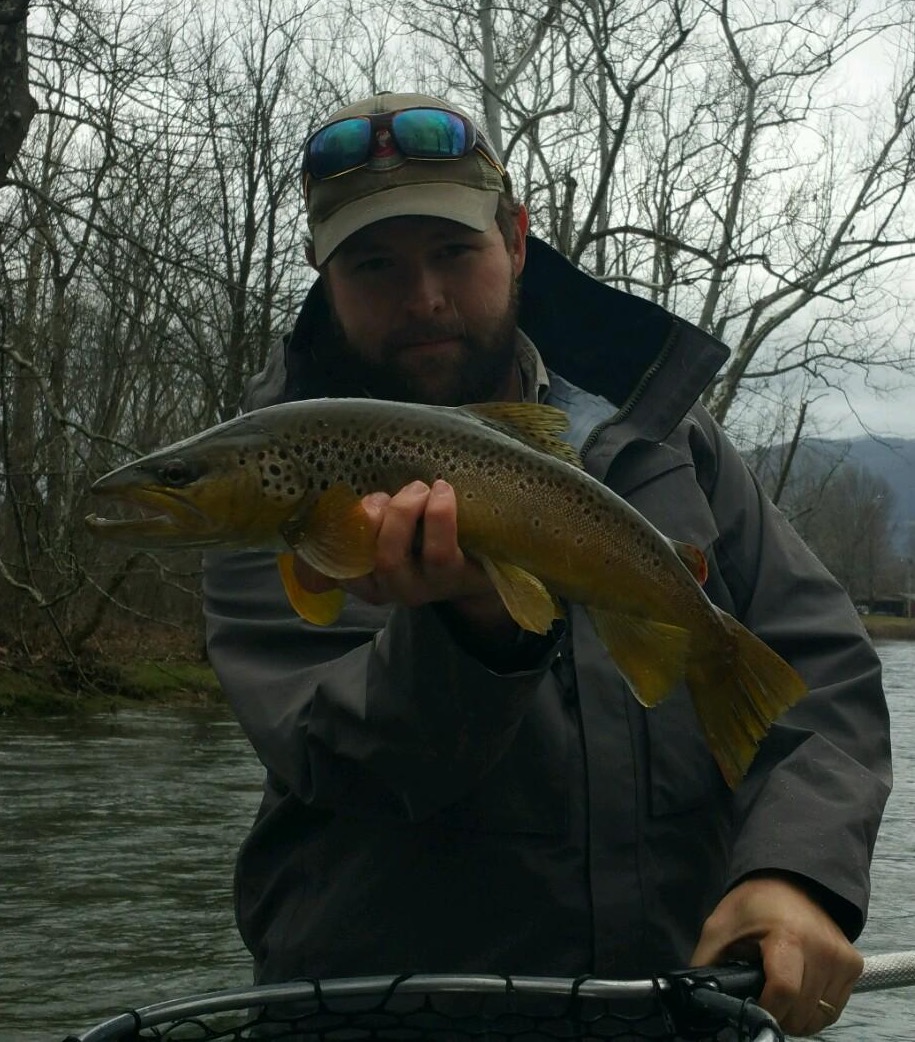 http://easternflyoutfitters.com/wp-content/uploads/2013/06/Huck-Watauga-River-20-inch-brown-trout-white-beef-curtain.jpg