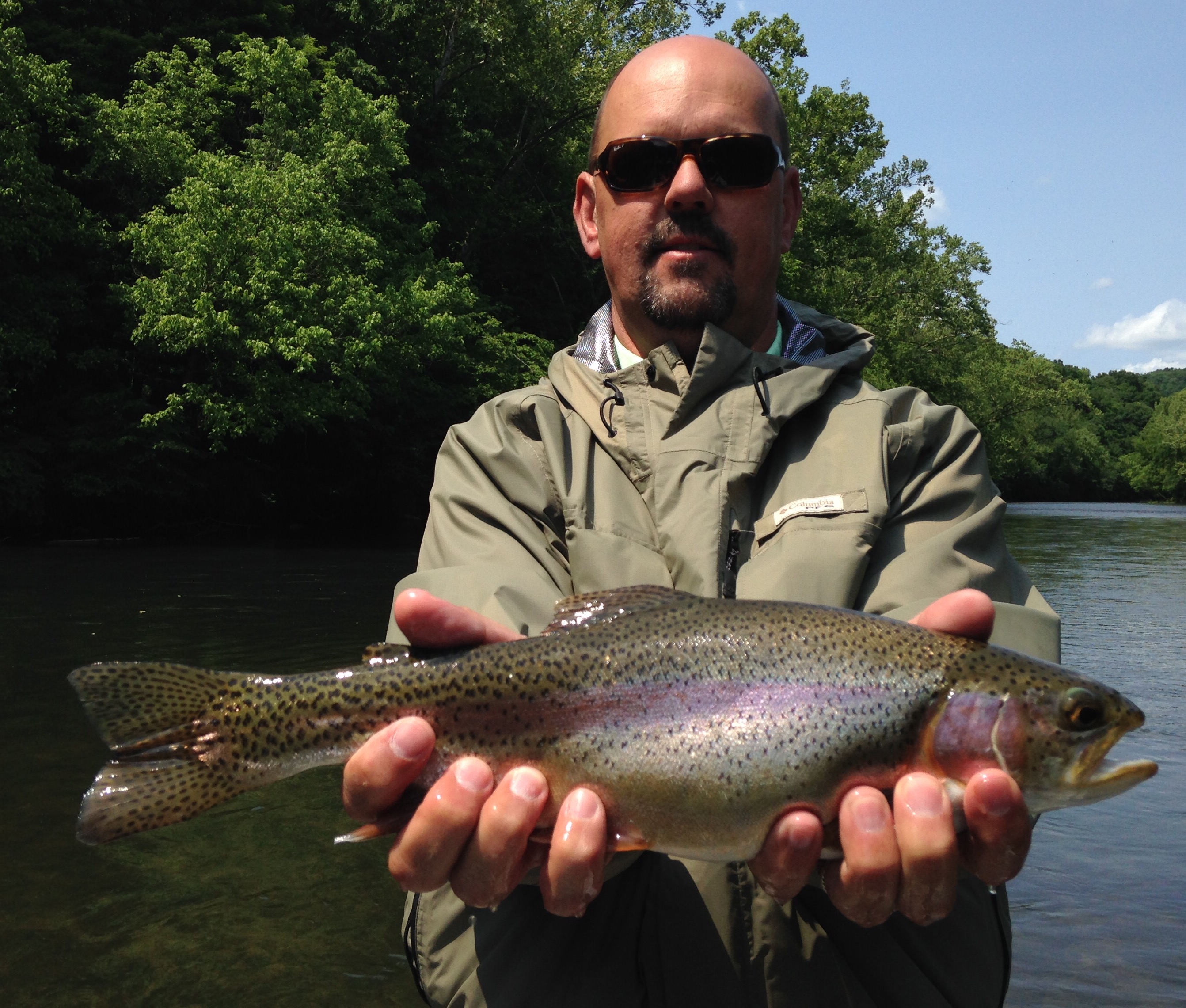 Fat Watauga river rainbow trout 5-15-16 - Easternflyoutfitters