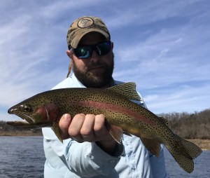 Watauga river rainbow trout