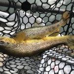 Two at time on Watauga