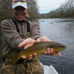 South Holston river brown trout