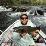 Watauga river brown trout