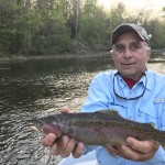 Watauga river rainbow trout
