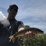 Brown trout from South Holston