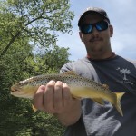 Brown trout on South Holston