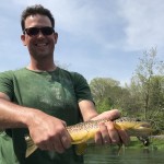 South Holston brown trout