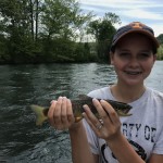 South Holston river brown trout