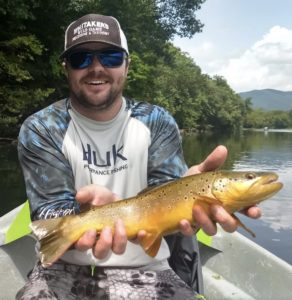 watauga river brown trout, watauga river, watauga, river, south holston, guides, guide, fly fishing, fly fishing guide, east tn, fishing guide, bristol, elizabethton, johnson city, east tn fly fishing, nymph, streamer, dry fly, rainbow trout, brown, trout, trout fishing,